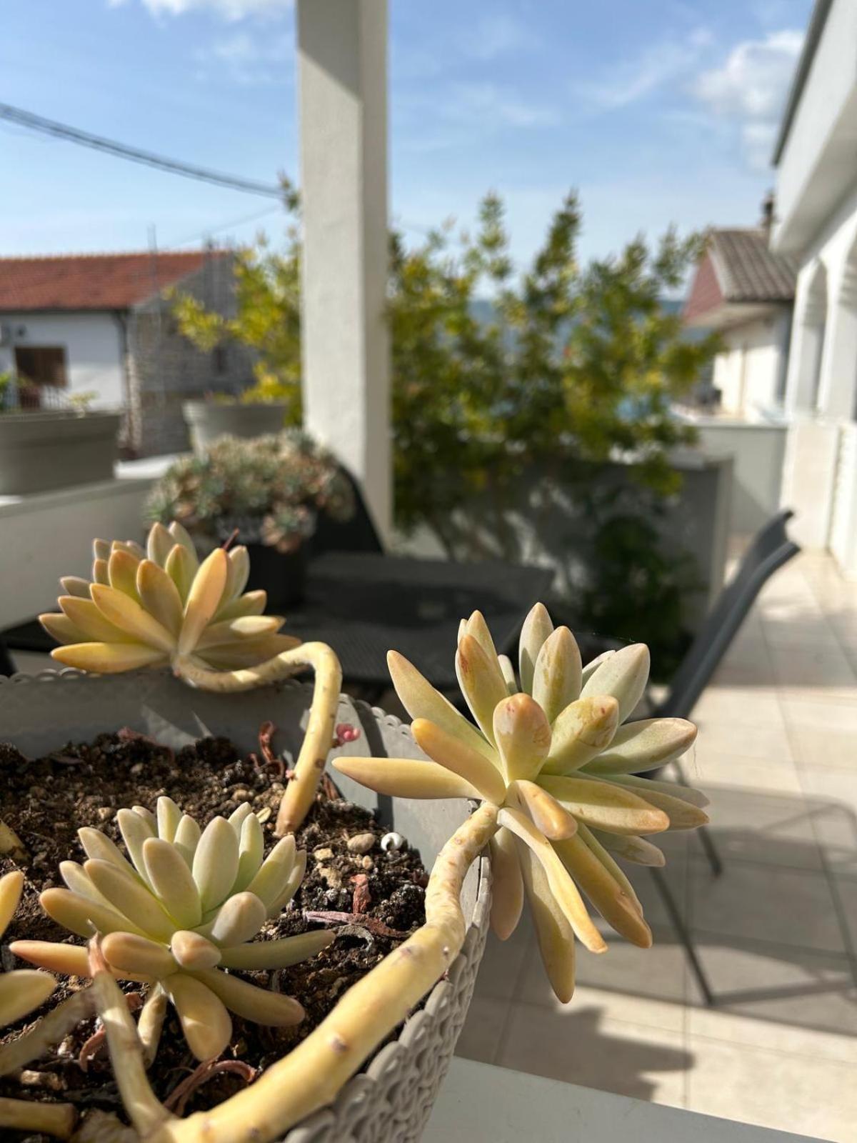 Apartmani Grgic Traù Esterno foto