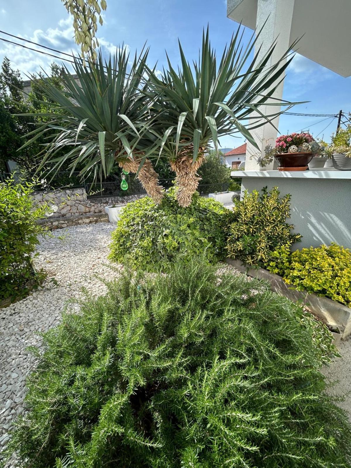 Apartmani Grgic Traù Esterno foto